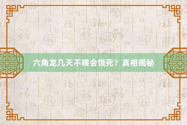 六角龙几天不喂会饿死？真相揭秘
